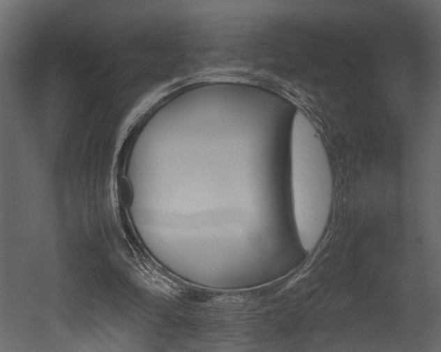 X0000052970294200507080929
