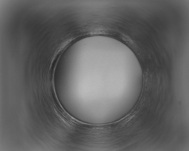 X0000052970298200507080929