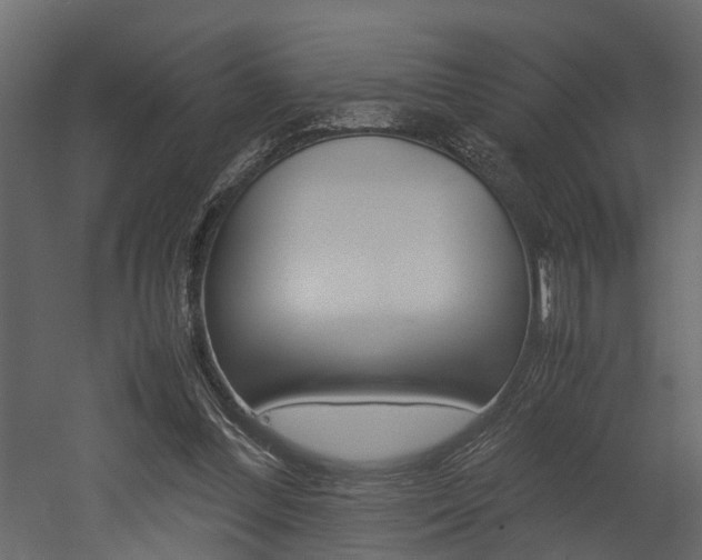 X0000052970300200507080929