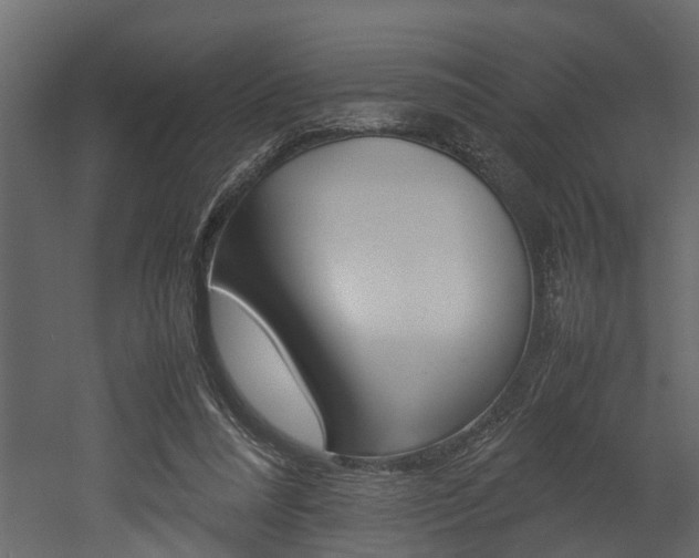 X0000052970304200507080929