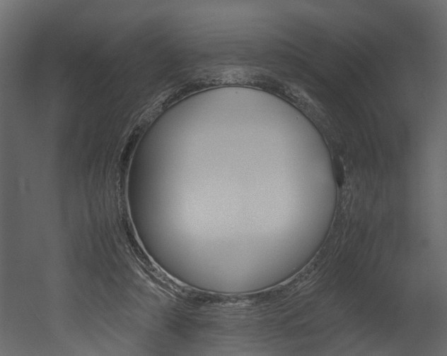 X0000052970306200507080929