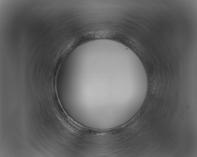 X0000052970310200507080929
