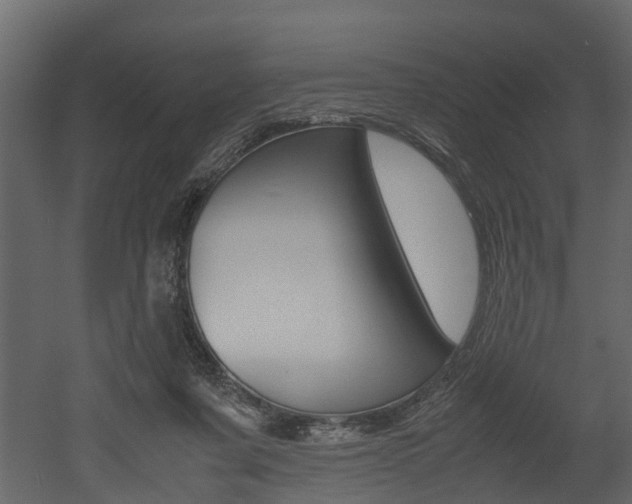 X0000052970311200507080929