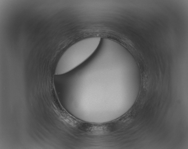 X0000052970314200507080929