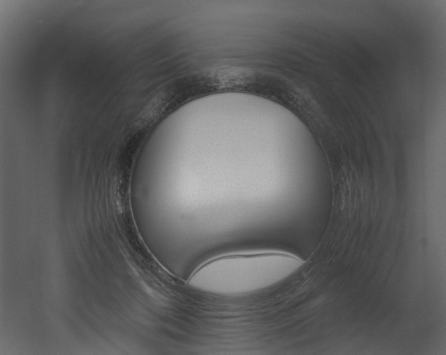 X0000052970316200507080929