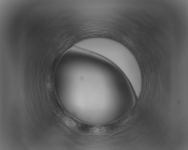 X0000052970317200507080928