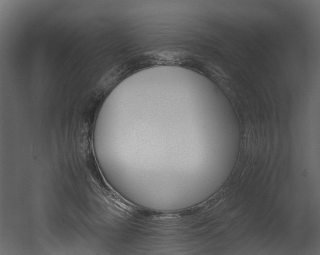 X0000052970318200507080928