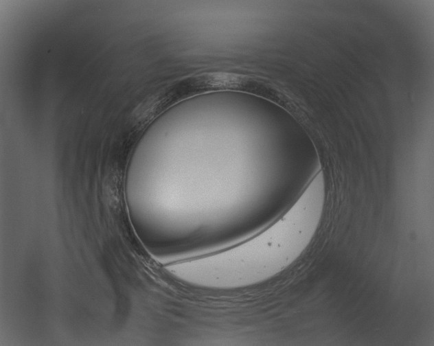X0000052970325200507080928