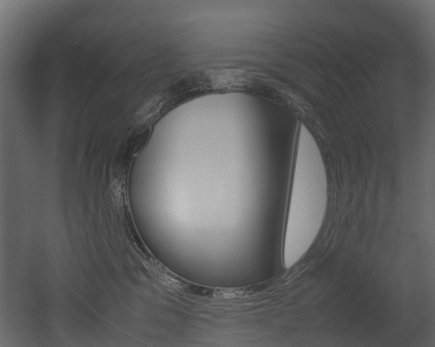 X0000052970329200507080928