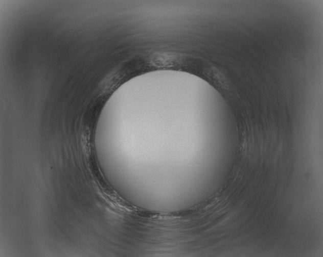 X0000052970332200507080928