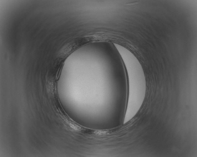 X0000052970333200507080928