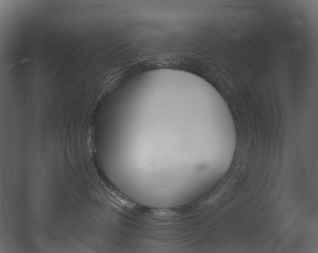 X0000052970336200507080928