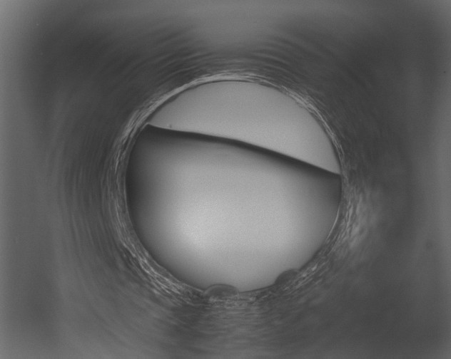 X0000052970337200507080927