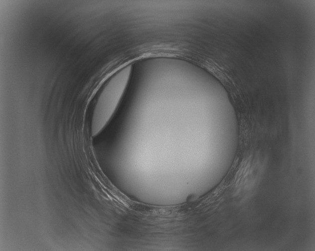 X0000052970338200507080927