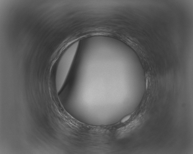 X0000052970339200507080927