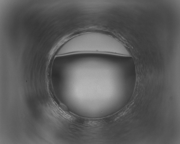 X0000052970341200507080927