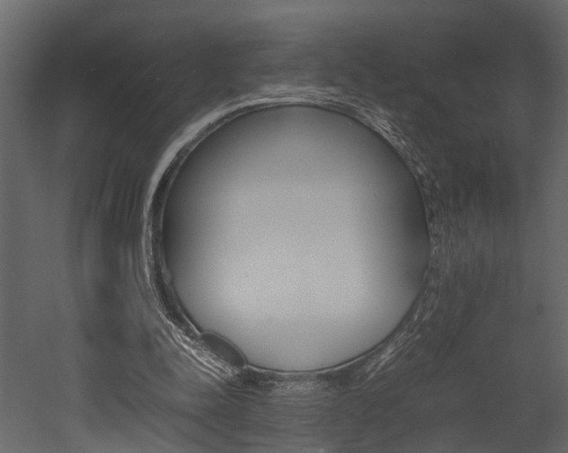 X0000052970342200507080927
