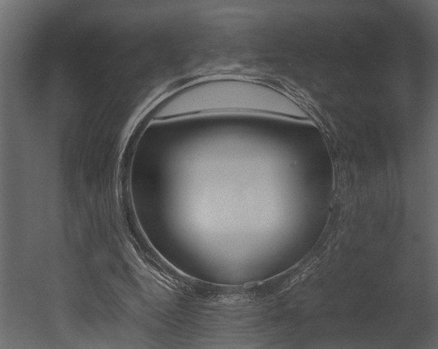 X0000052970344200507080927