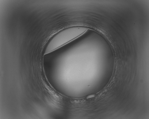 X0000052970345200507080928