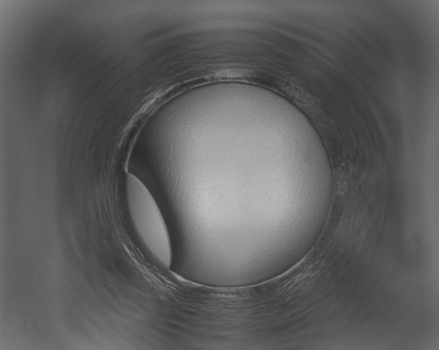 X0000052970347200507080928