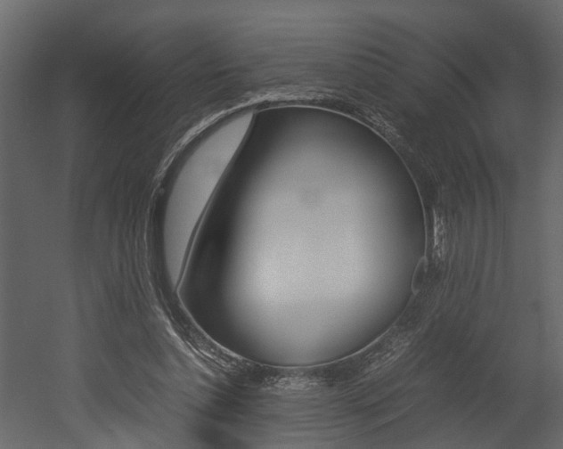X0000052970348200507080928
