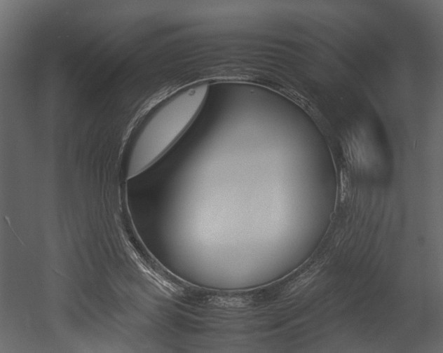 X0000052970349200507080928