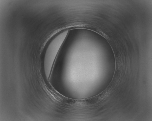 X0000052970350200507080928