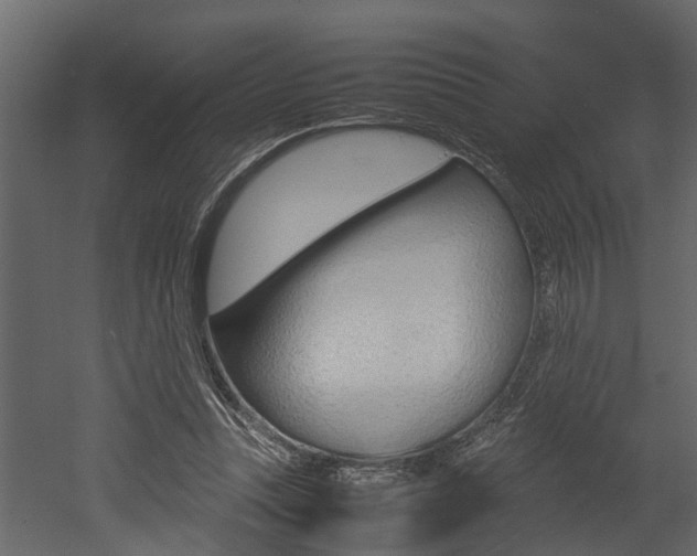 X0000052970351200507080928