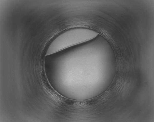 X0000052970354200507080928