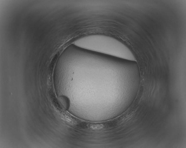X0000052970355200507080928