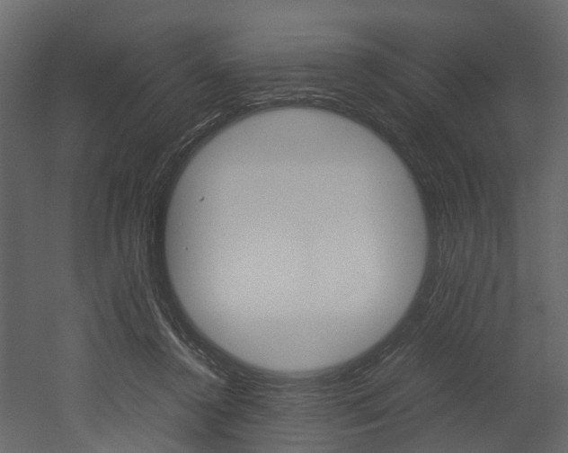 X0000052970356200507080928