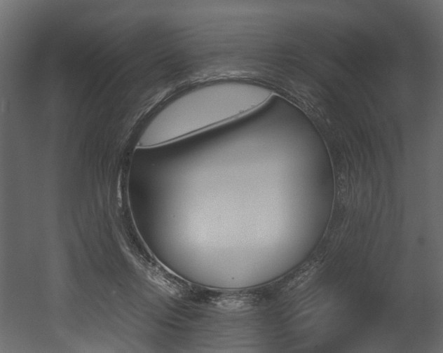 X0000052970358200507080928