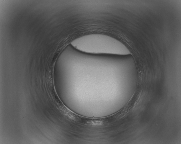 X0000052970361200507080928