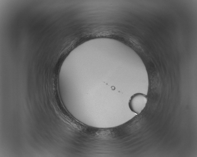 X0000052970362200507080928
