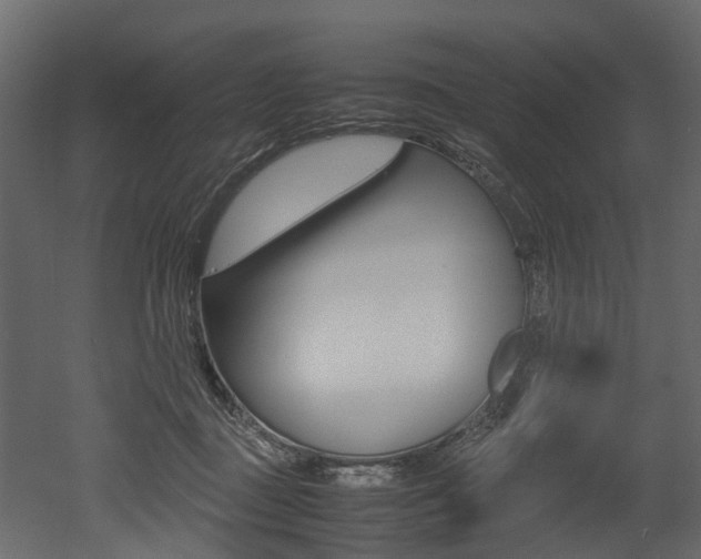 X0000052970363200507080928