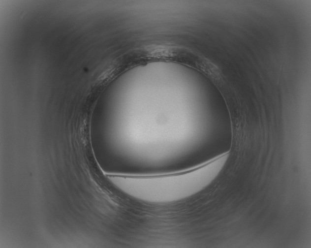 X0000052970364200507080928