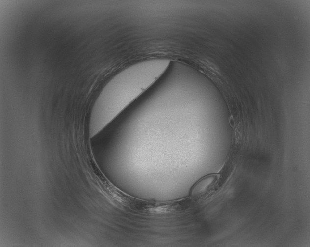 X0000052970365200507080928