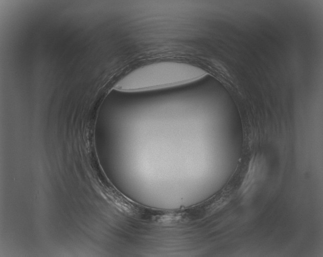 X0000052970366200507080928