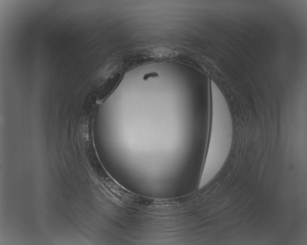 X0000052970368200507080928