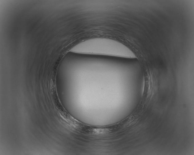 X0000052970371200507080928