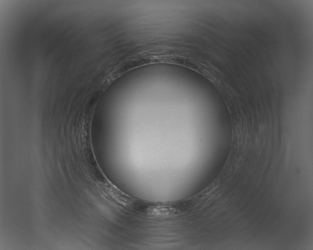 X0000052970372200507080928