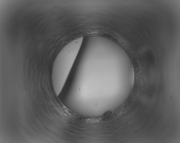 X0000052970373200507080928