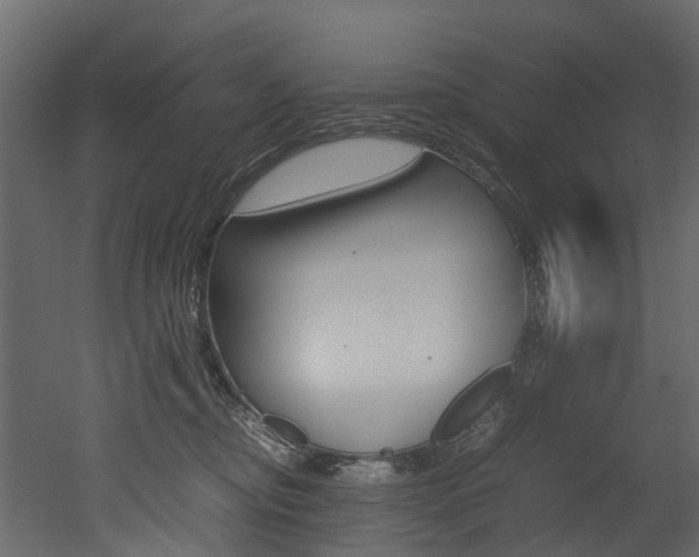 X0000052970374200507080928