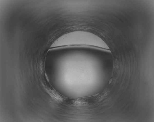 X0000052970380200507080928