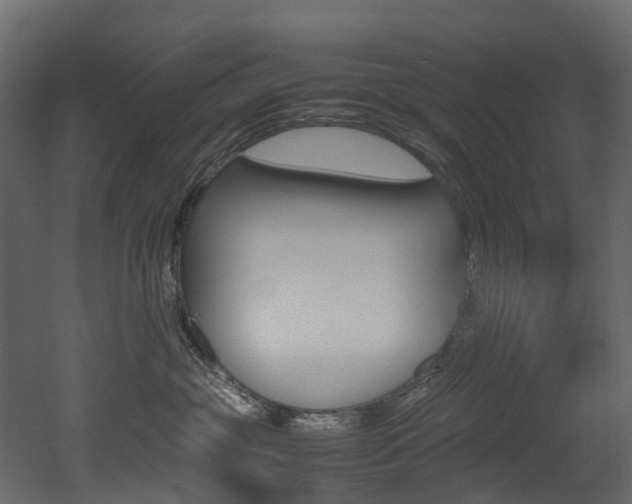 X0000052970381200507080928