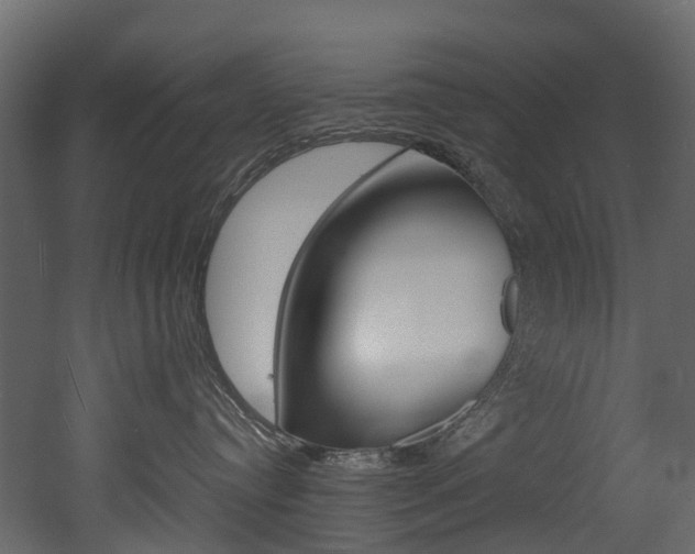 X0000052970384200507080928
