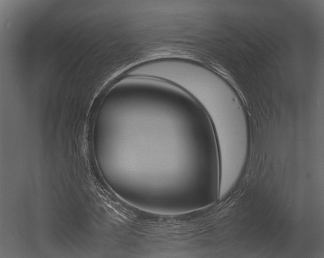 X0000052970387200507080927