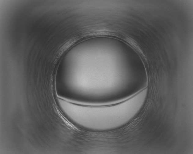 X0000052970389200507080927
