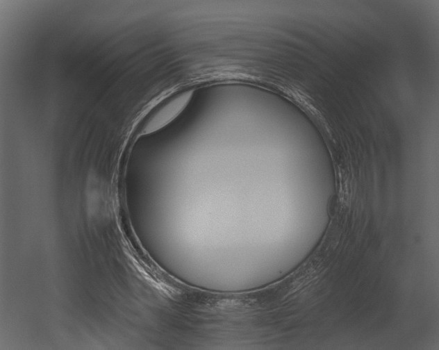 X0000052970390200507080927