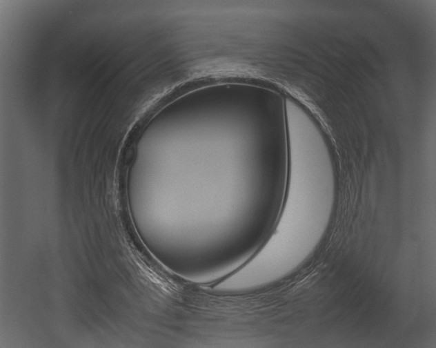 X0000052970391200507080927